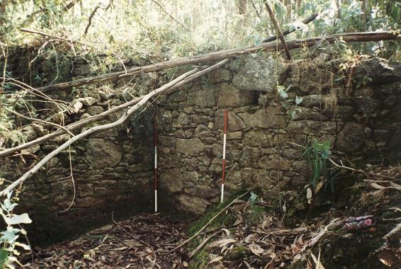 Castro de Os Gafos. Foto del interior (años 90)