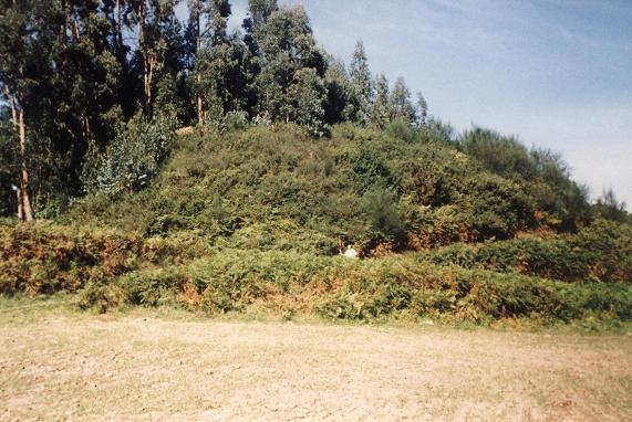 Castro de Vilasanche. Croa (años 90)